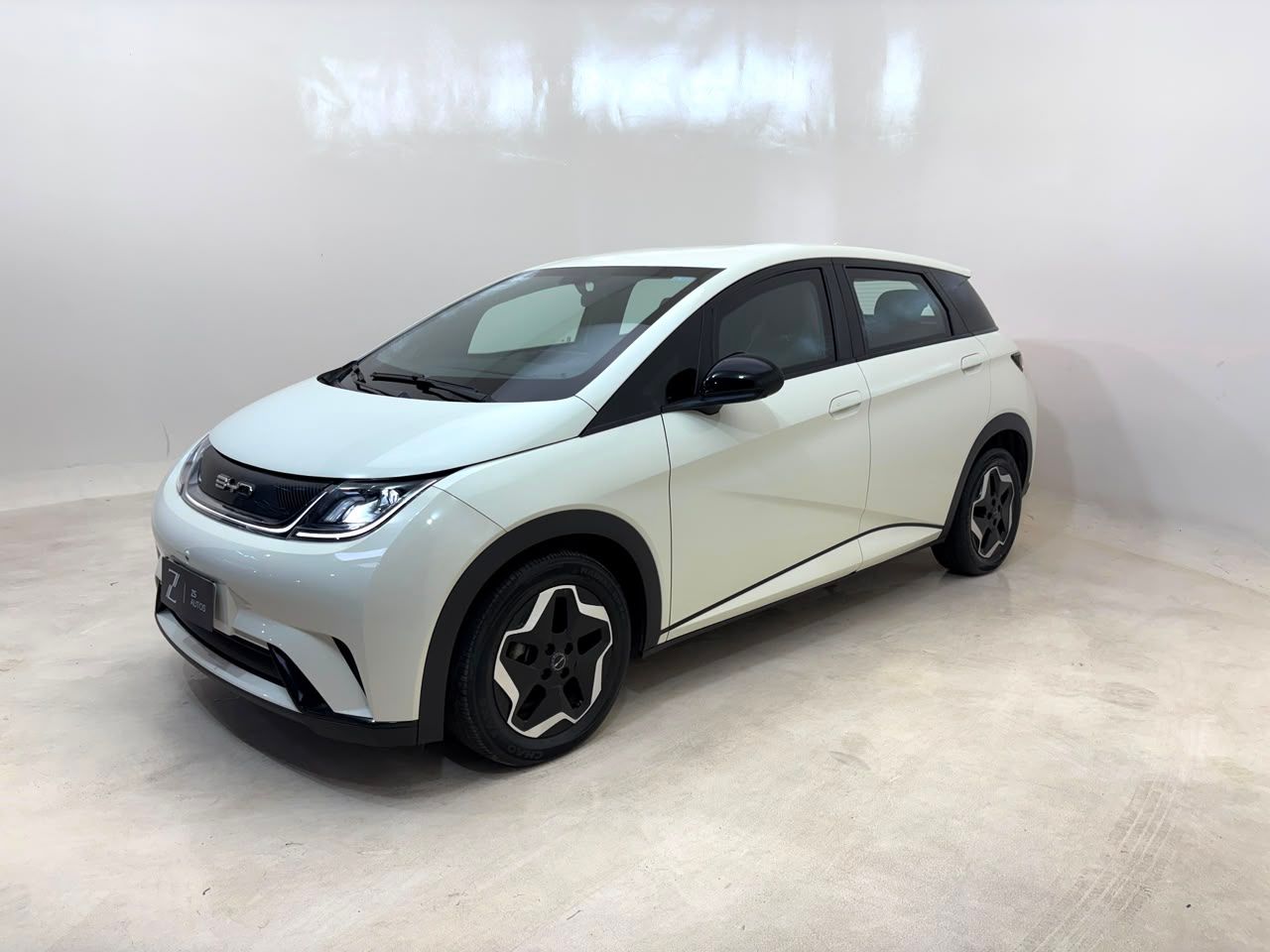BYD Dolphin 2024