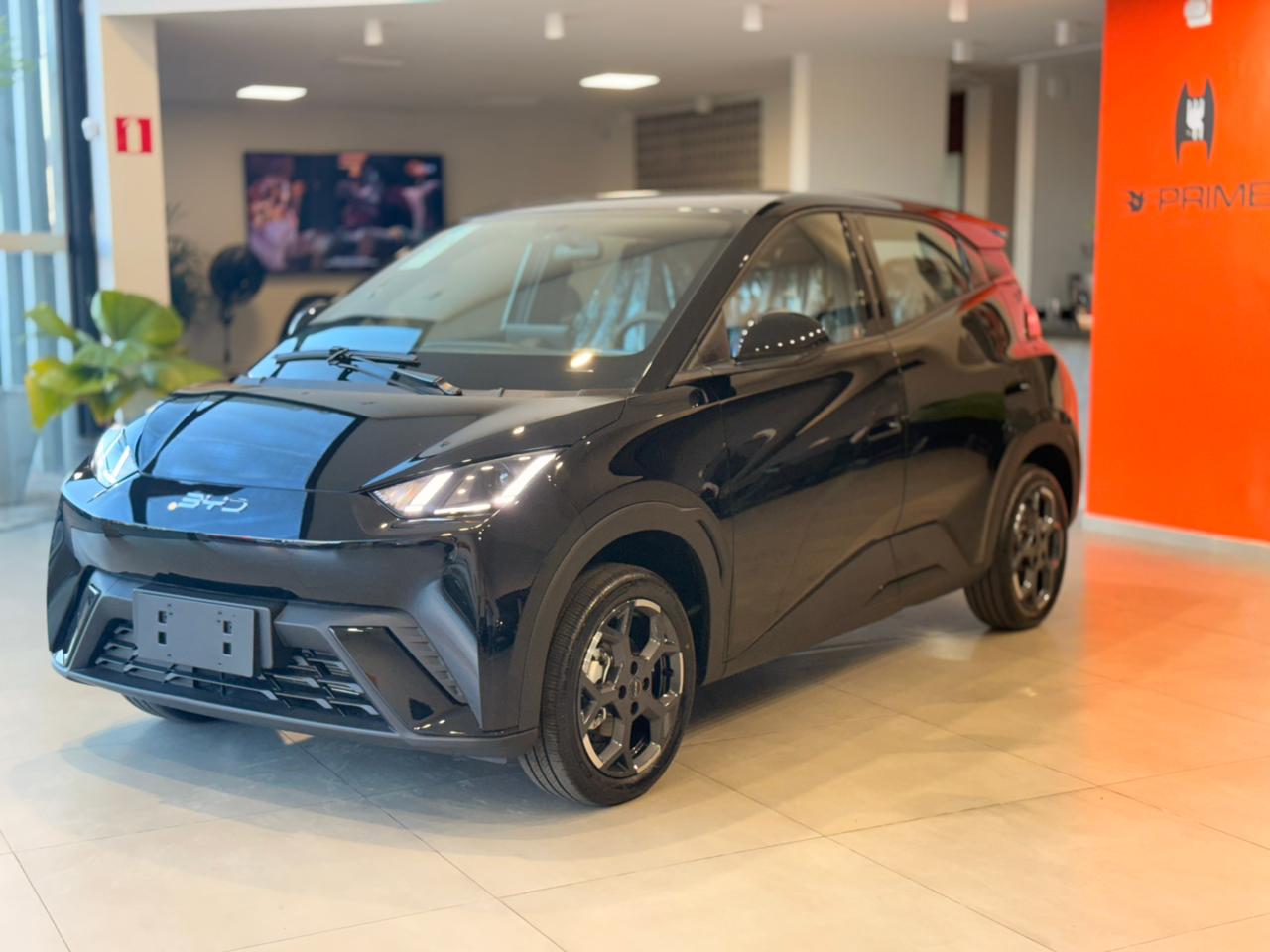 BYD Dolphin Gl - foto 2