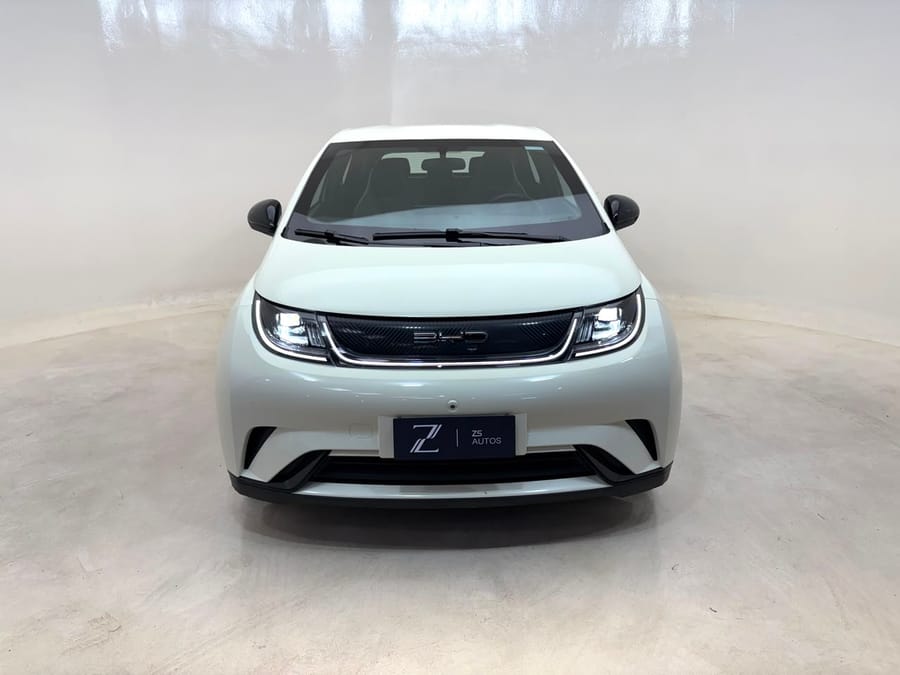 BYD Dolphin 2024
