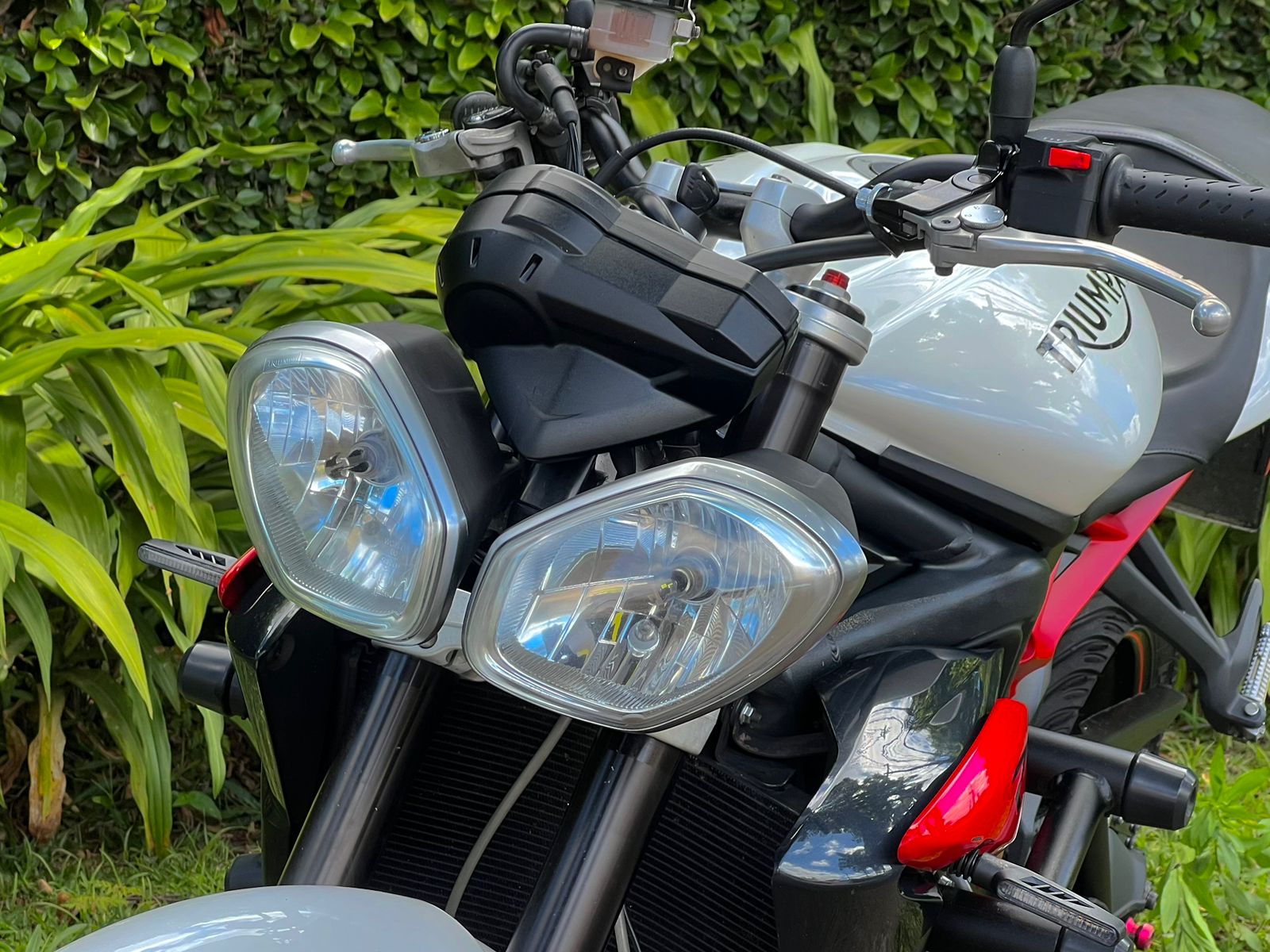 Triumph STREET 2015