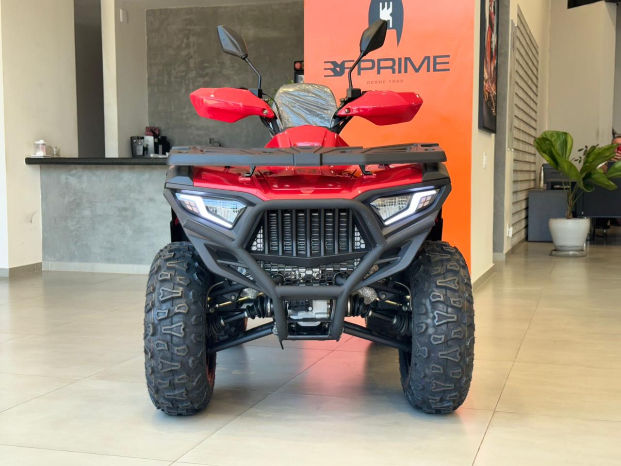 MXF FOX 2026