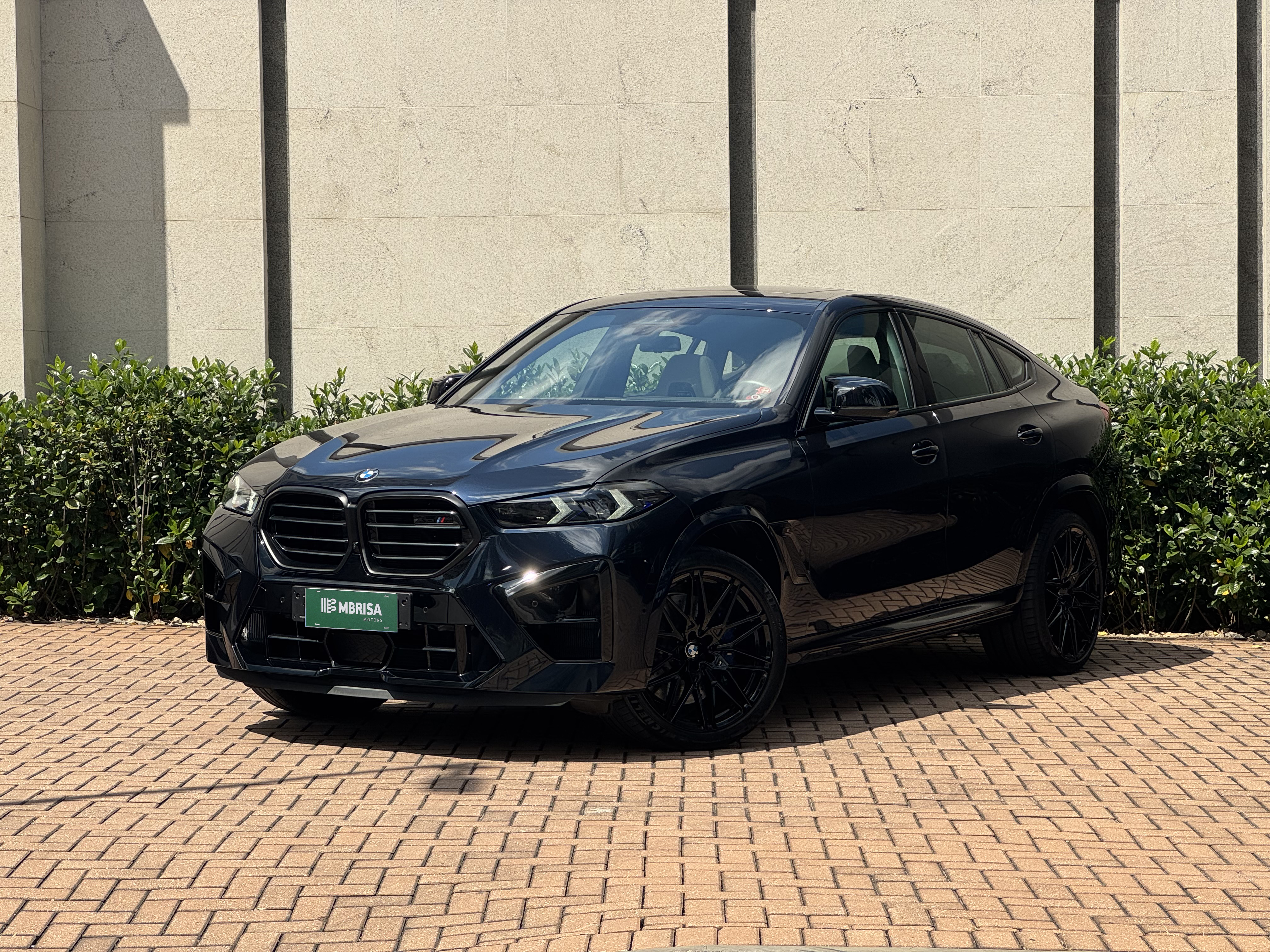 BMW X6 2024