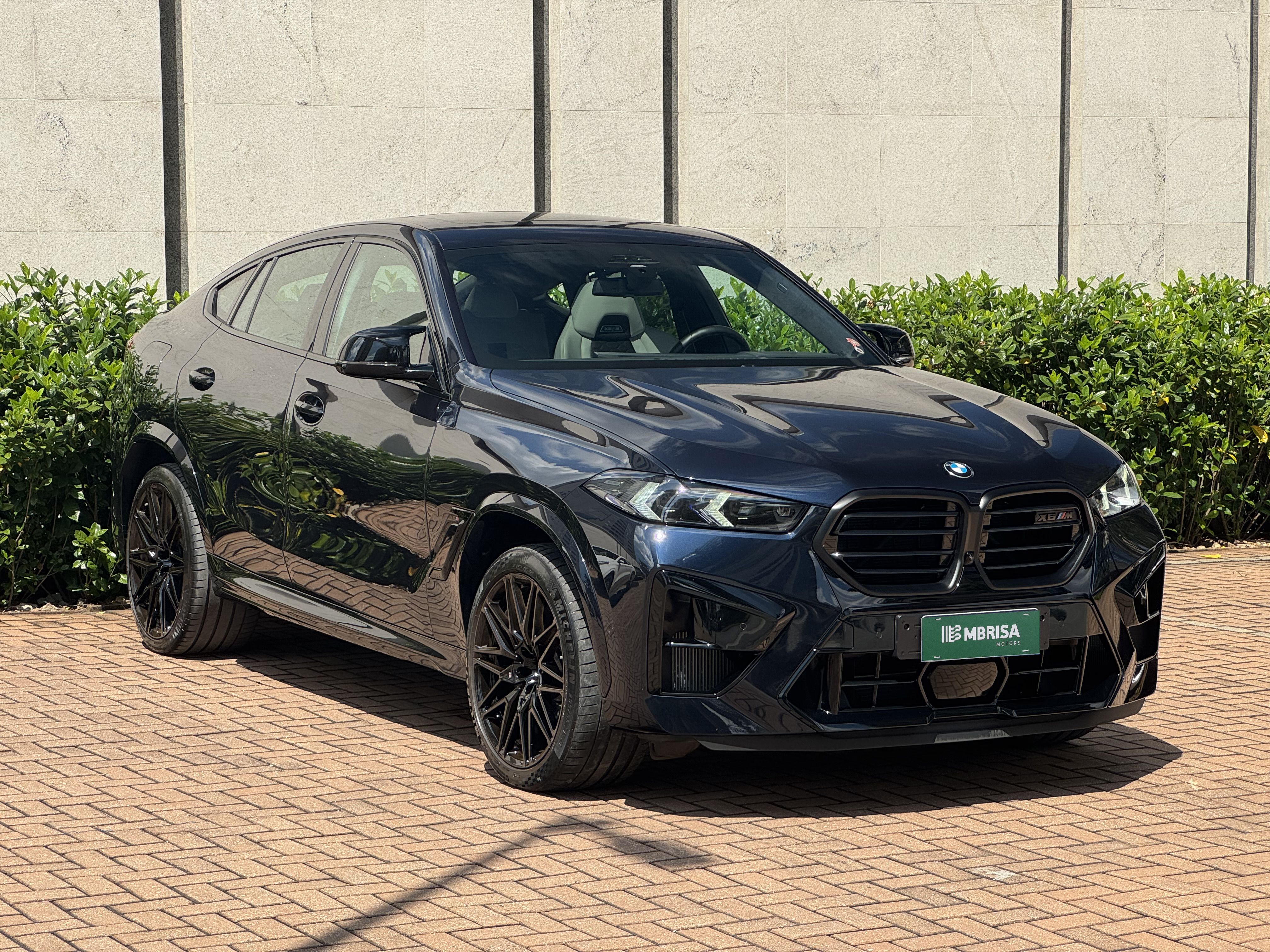 BMW X6 2024