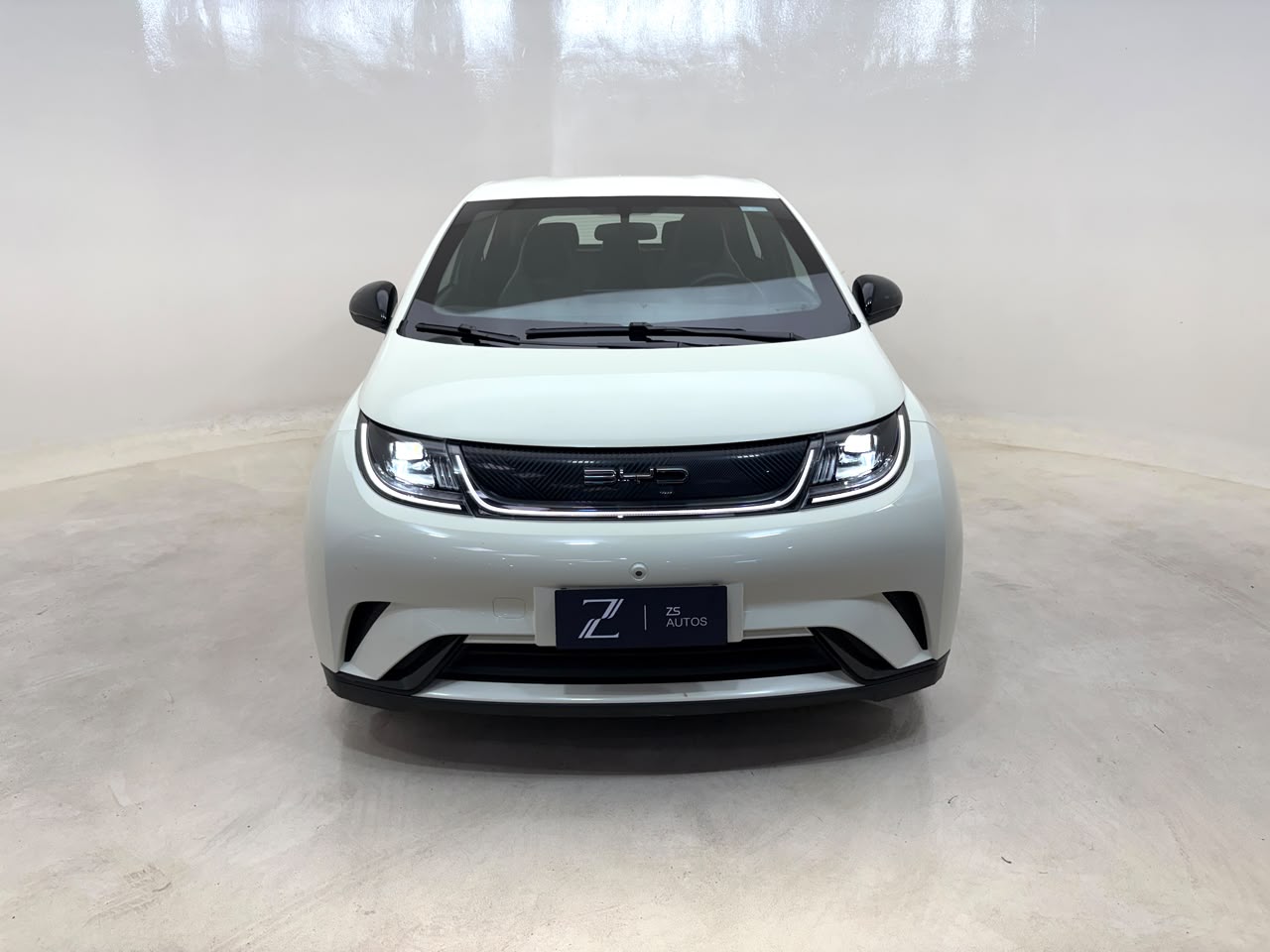 BYD Dolphin 2024