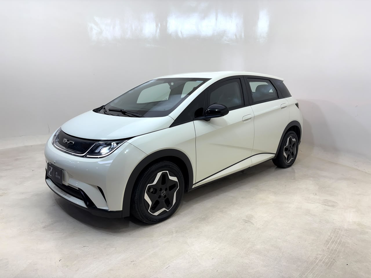 BYD Dolphin 2024