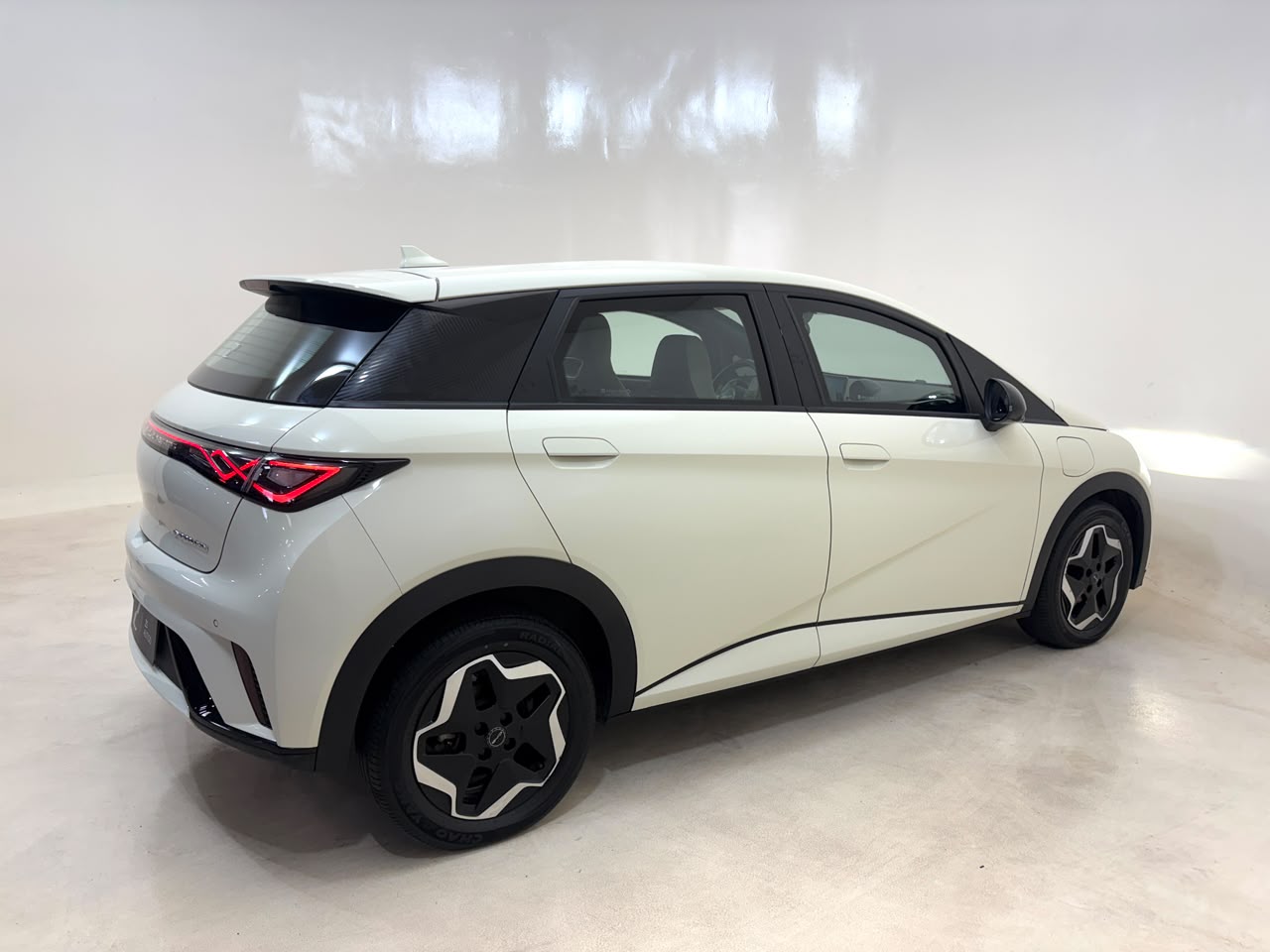 BYD Dolphin 2024