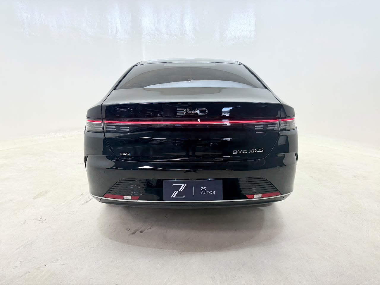 BYD King 2025