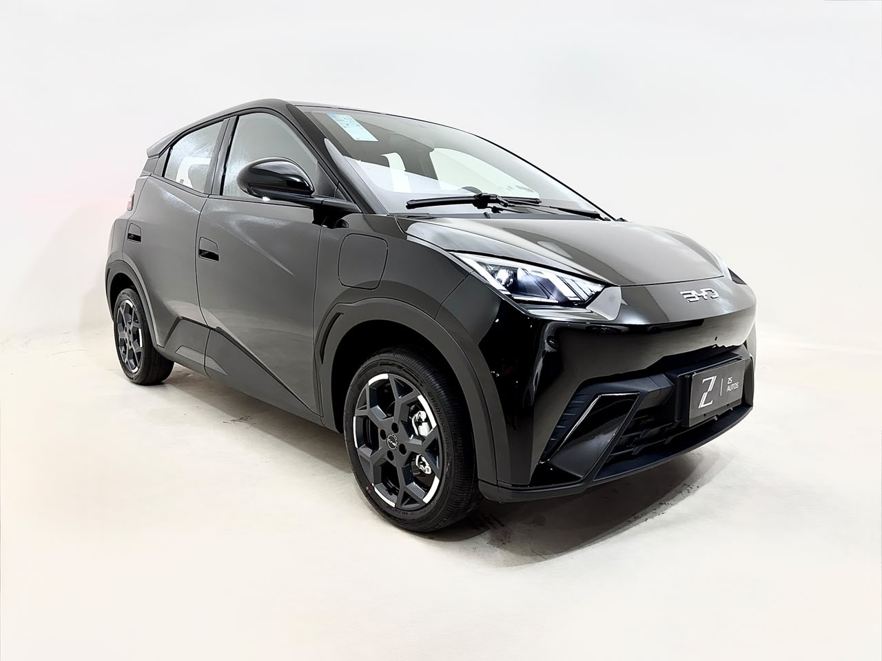BYD Dolphin 2026