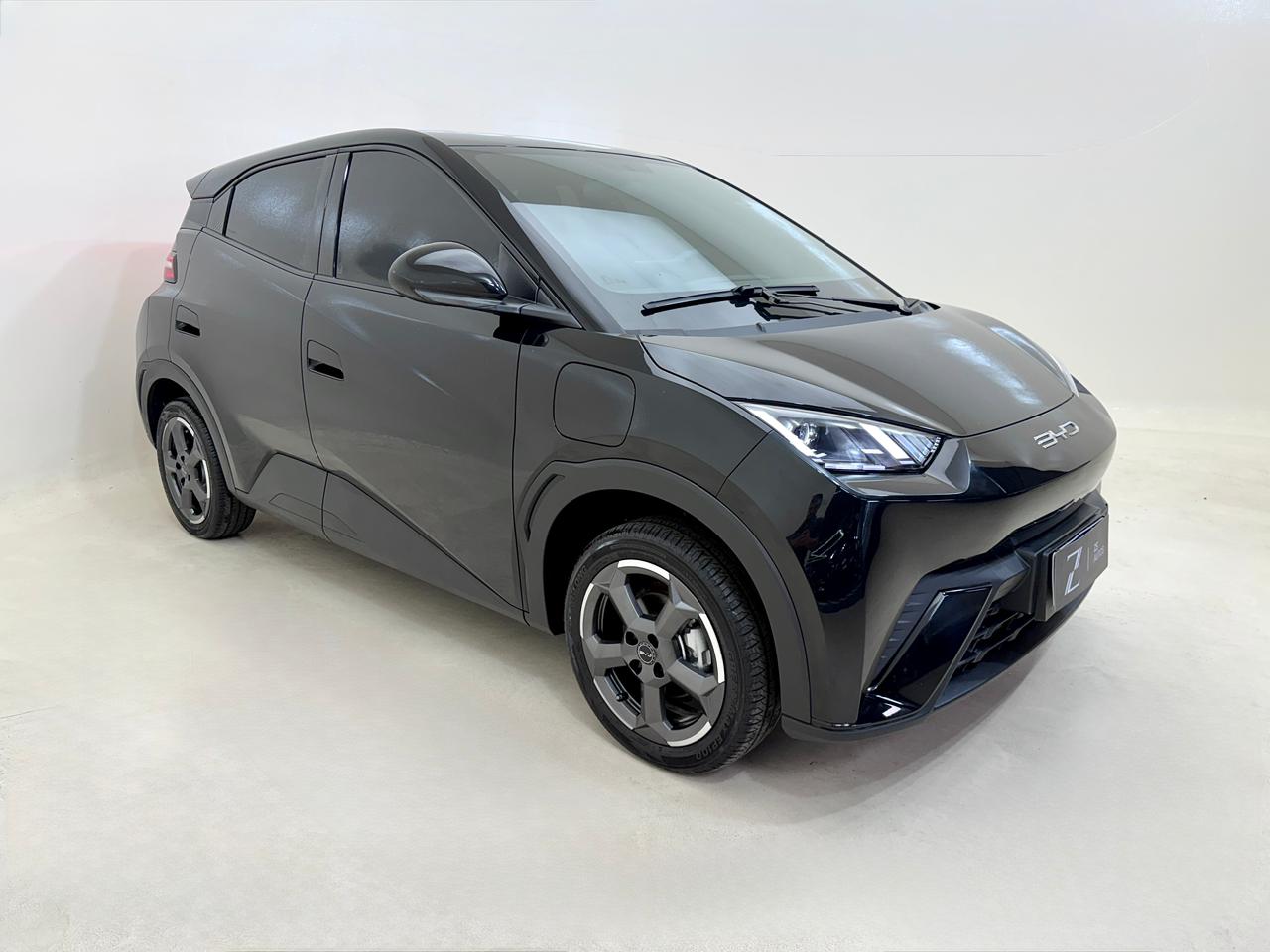 BYD Dolphin 2025