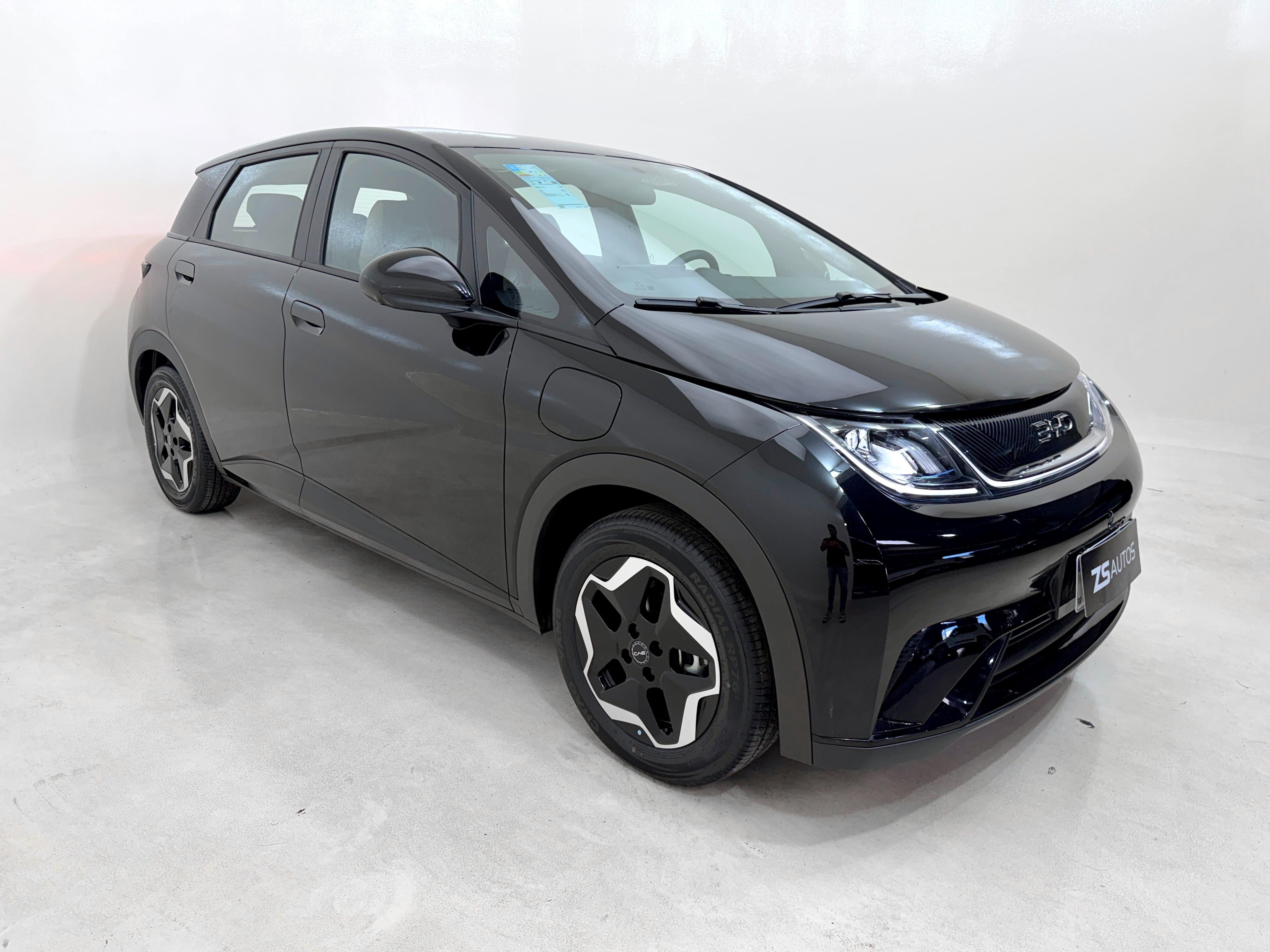 BYD Dolphin 2024