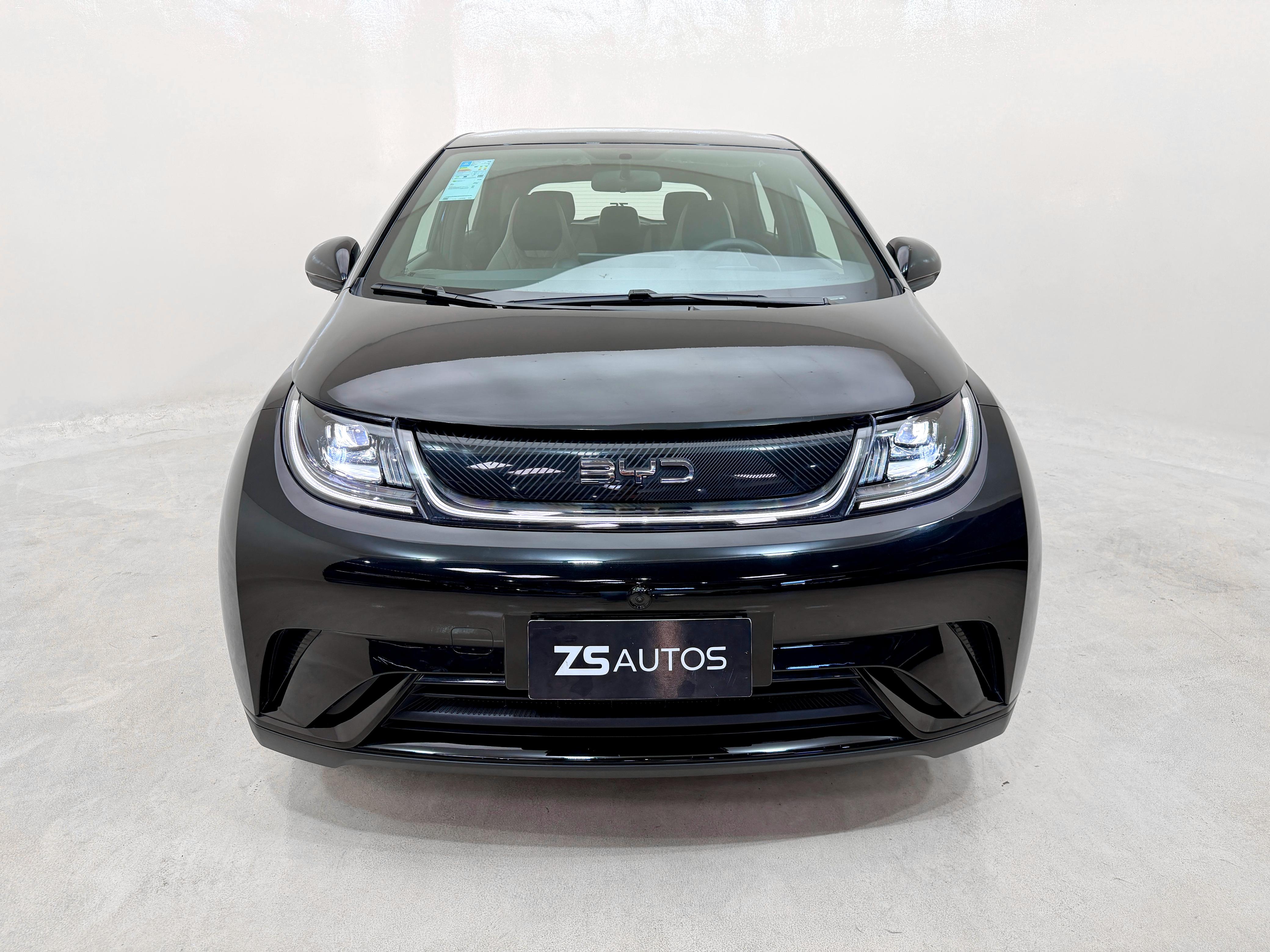 BYD Dolphin 2024