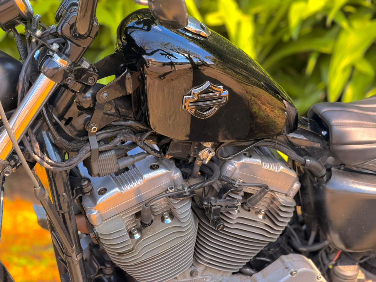 HARLEY-DAVIDSON XL 883 2005