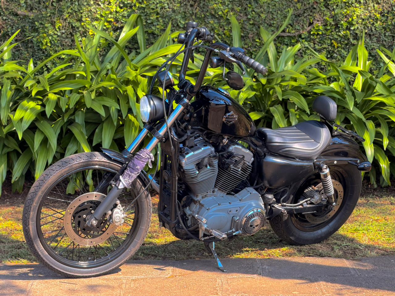 HARLEY-DAVIDSON XL 883 2005