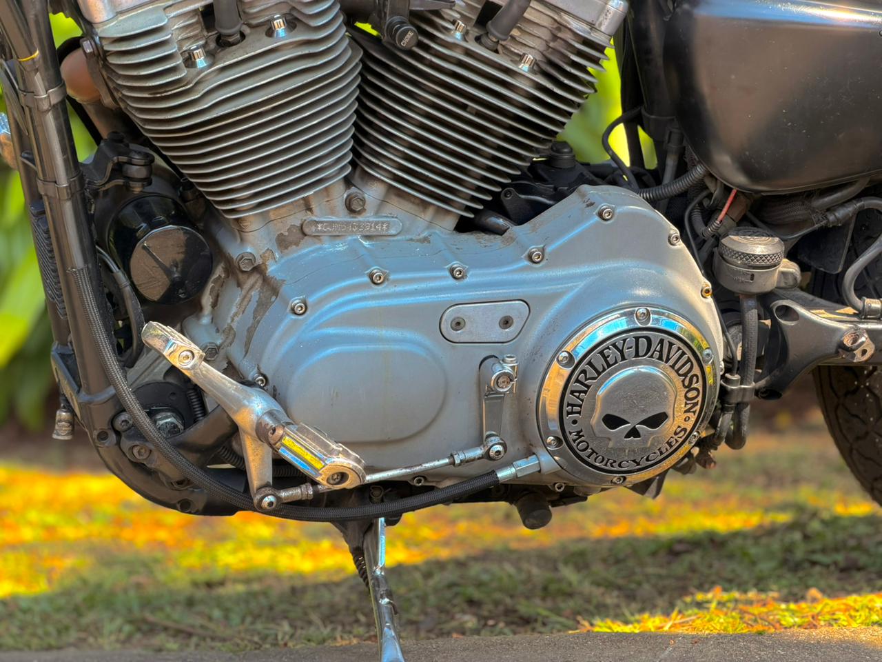 HARLEY-DAVIDSON XL 883 2005