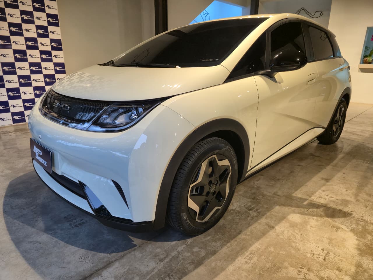 BYD Dolphin 2025