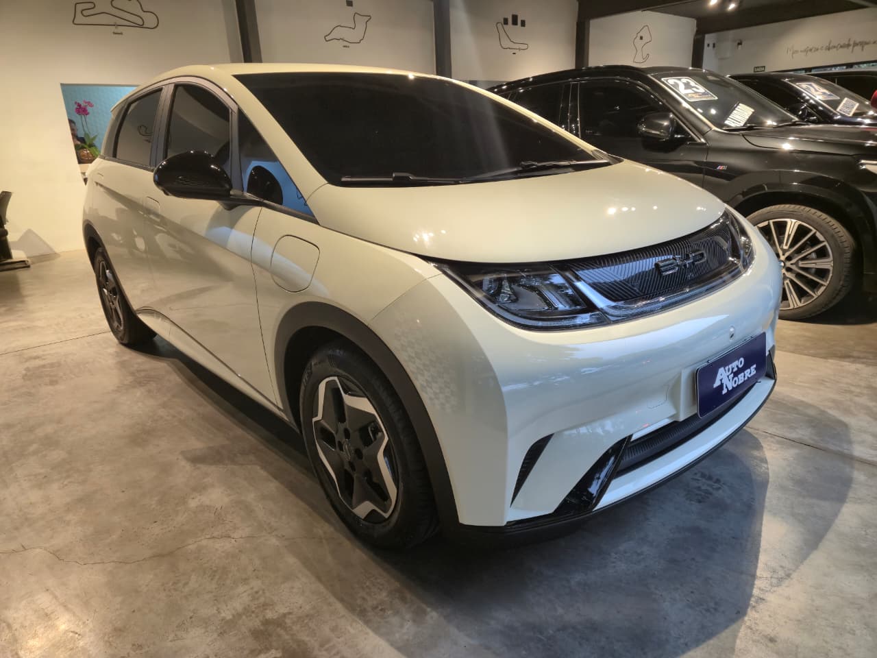 BYD Dolphin 2025