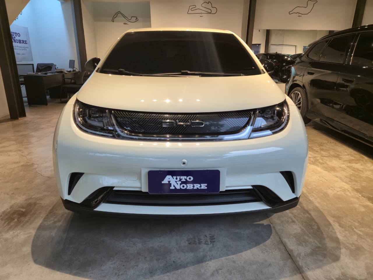 BYD Dolphin 2025