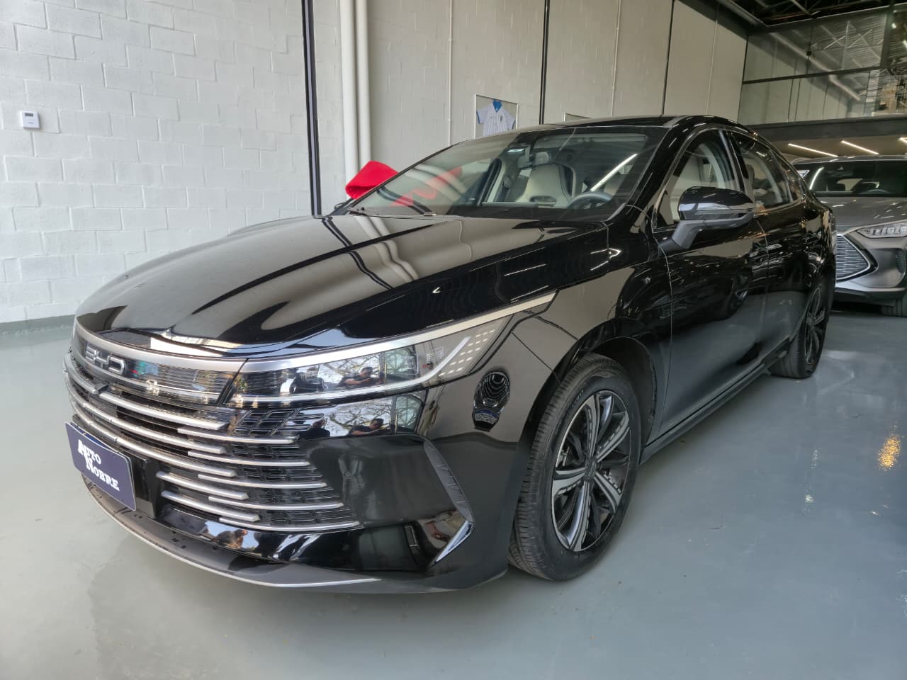 BYD King 2025